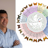 Akito Kawahara Publishes A New Evolutionary Tree of Butterflies
