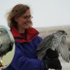 Biology Professor publishes snail kite research in Nature