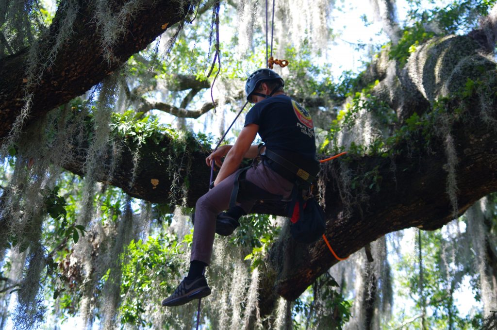 Treetop Biodiversity - Biology