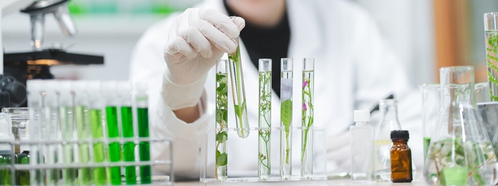 A person holding a test tube with a plant.